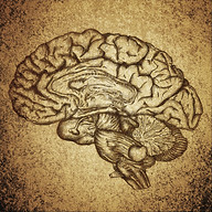 Piedmont Interventional Psychiatry logo