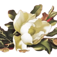 Grande Magnolia logo