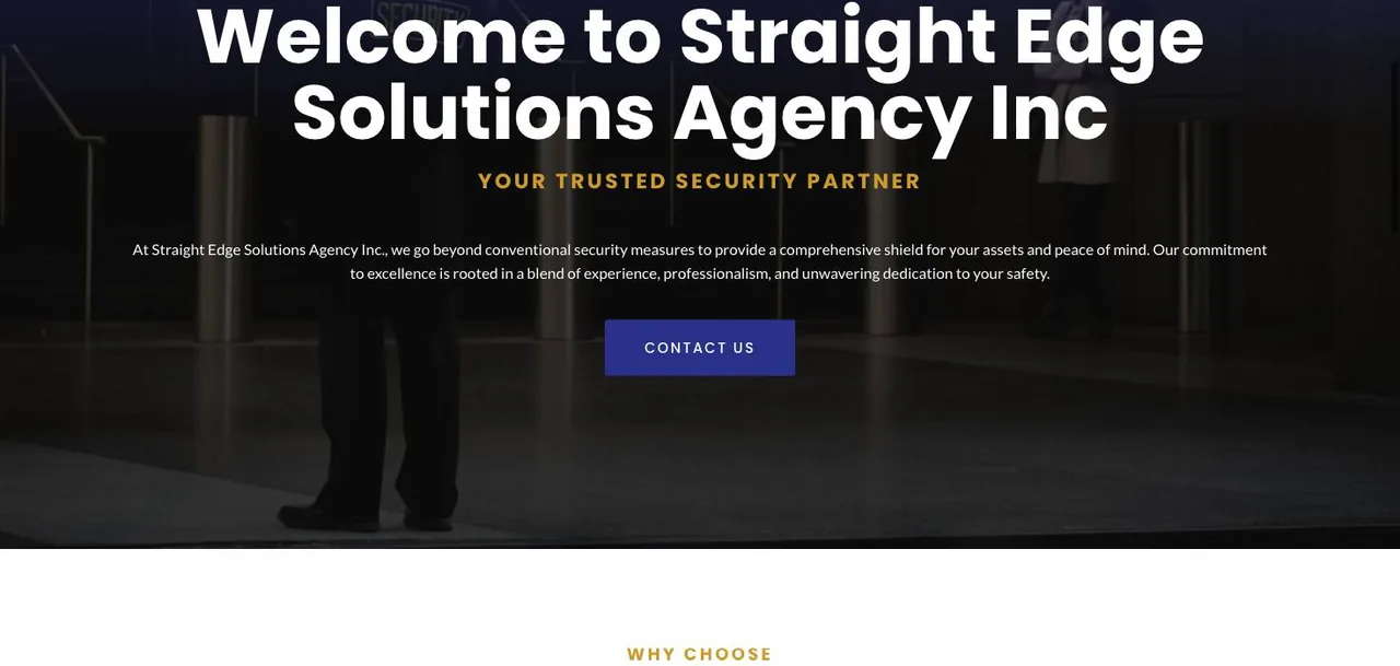 Straight Edge Solutions Agency Inc cover