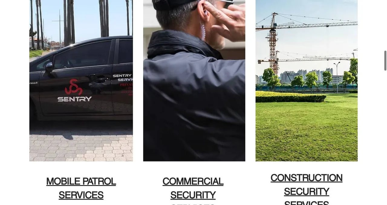 Sentry Security Services cover