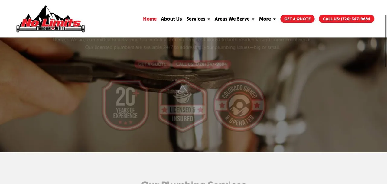 No Limits Plumbing & Drains cover
