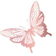 COCO Nails & Lashes logo