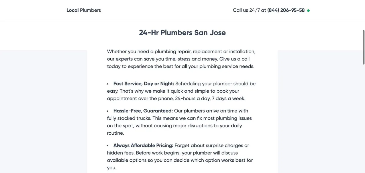Local Plumbers cover