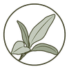 Wild Sage Therapy Center logo