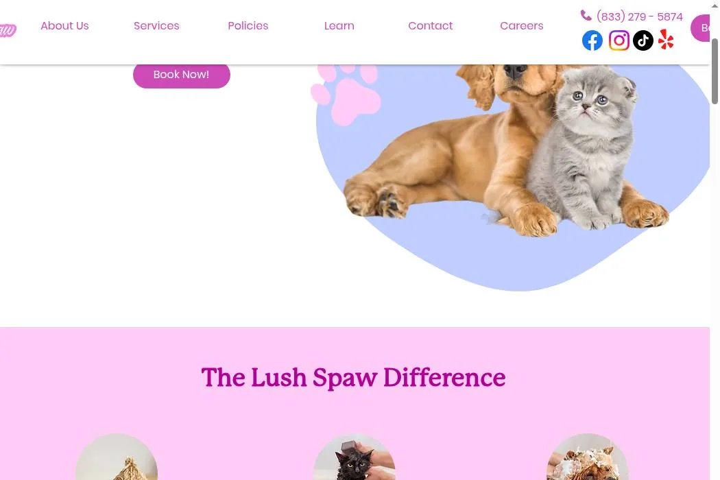 Lush Spaw cover