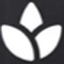 Saturnal Kiss Therapeutics logo