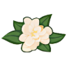 Jasmine's Restaurant logo