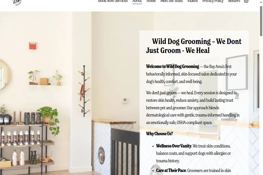 Wild Dog Grooming cover