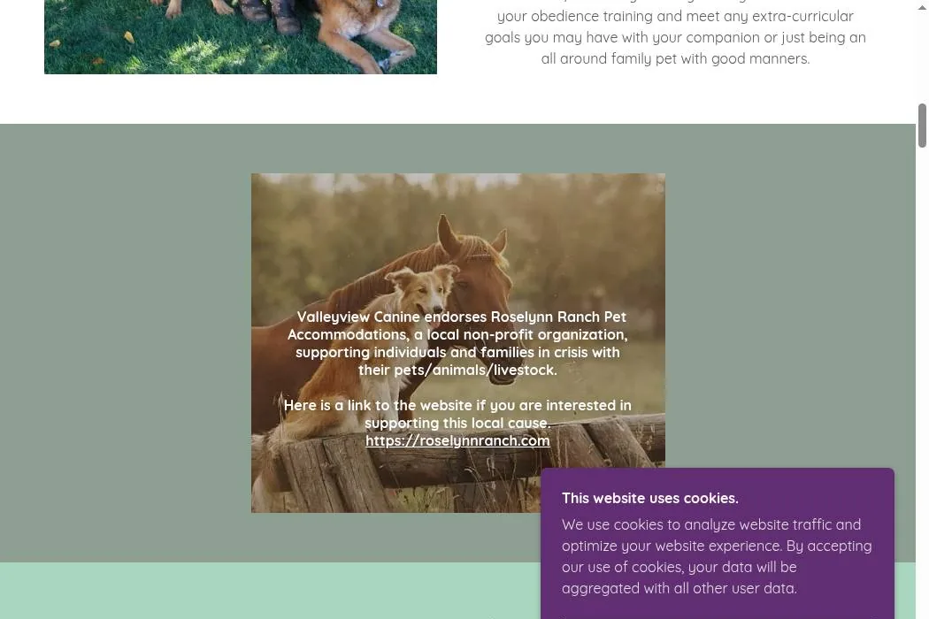 Valley View Canine cover