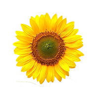 Archuleta Properties logo