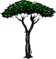 Sterling Cemetery Company logo