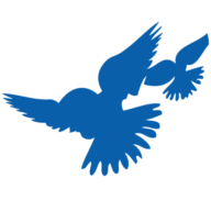 Church of the Free logo