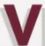 Vern's Plumbing logo