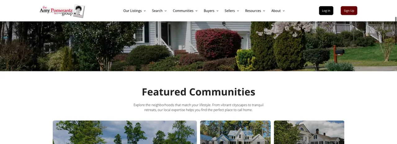 The Amy Pomerantz Group cover