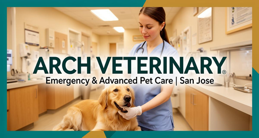 ArchVet logo