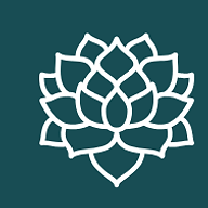 Veristic Aesthetics logo