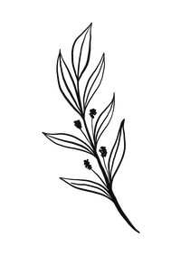 Rooted in Flow Therapy logo