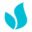 Renew Med Spa logo