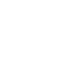 Full Body Function logo