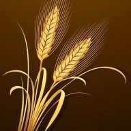 Bethlehem Harvest Orders logo
