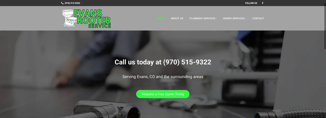 Evans Rooter Service cover