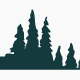 CONAM logo
