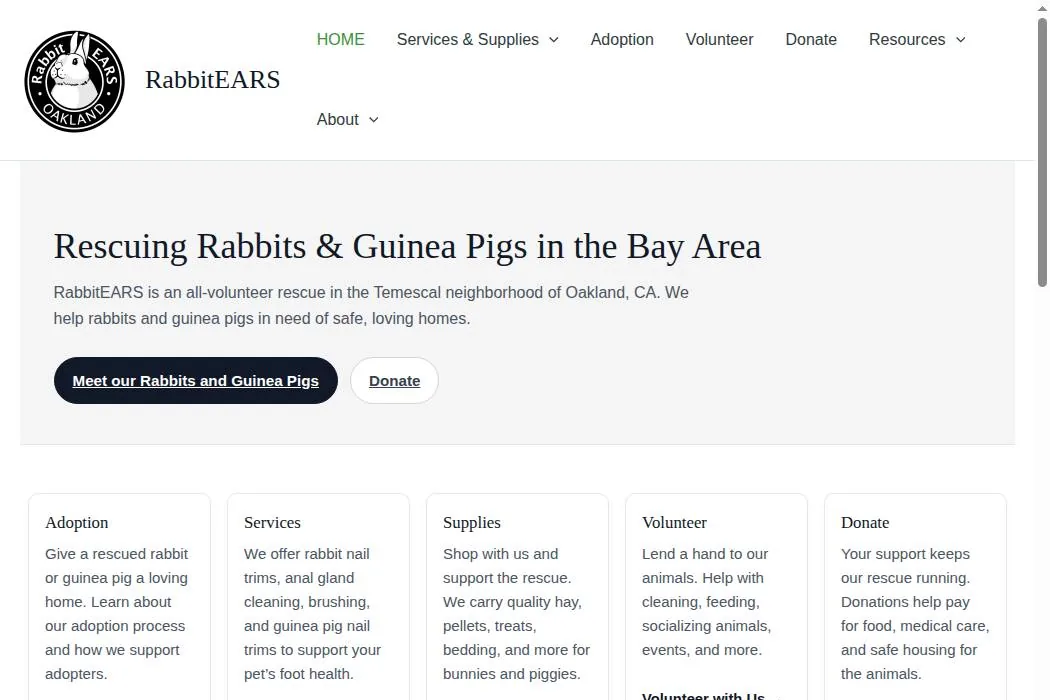 RabbitEARS cover