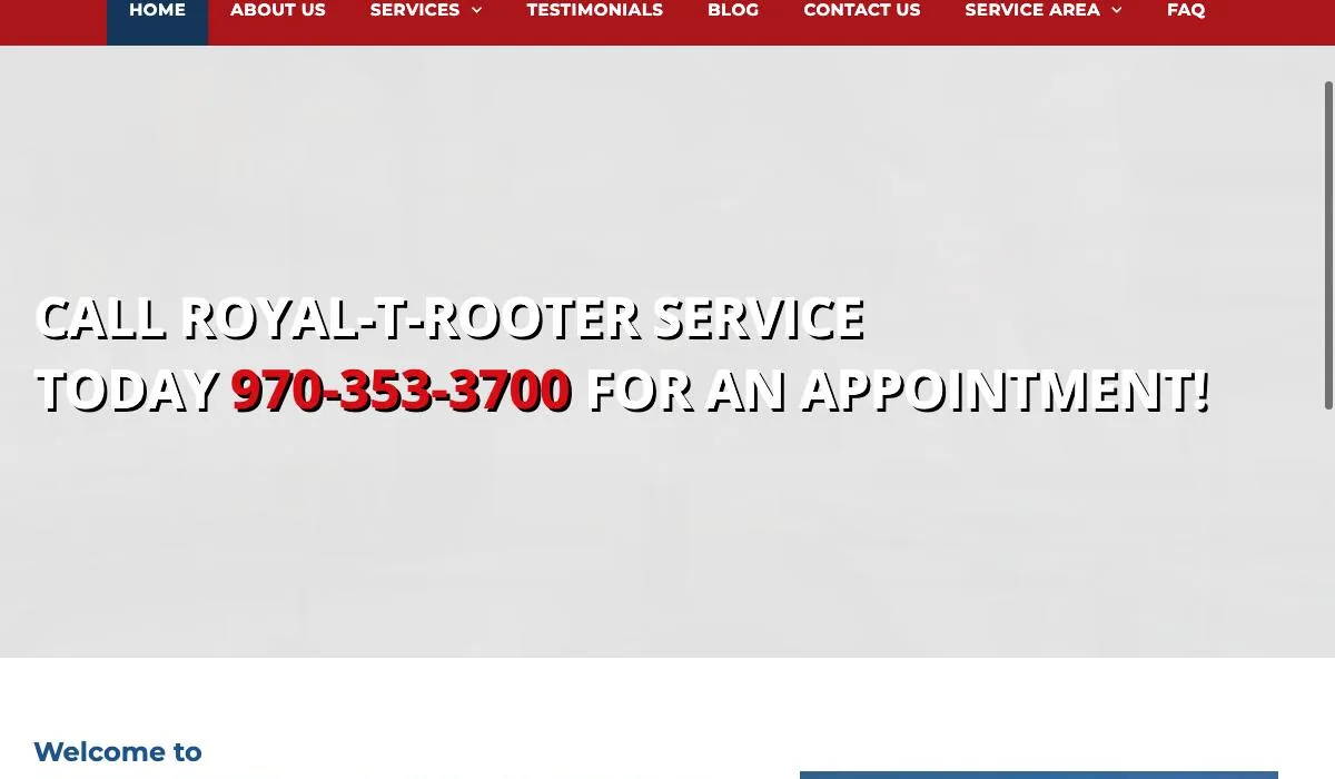 Royal-T-Rooter Service cover