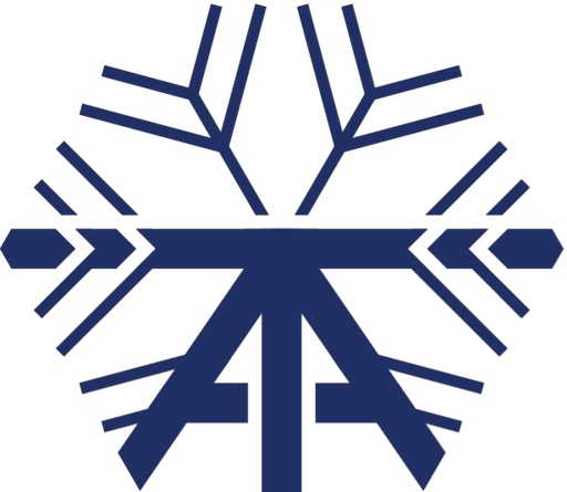 TexanAir logo
