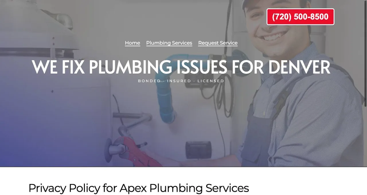 Apex Plumbing Services cover