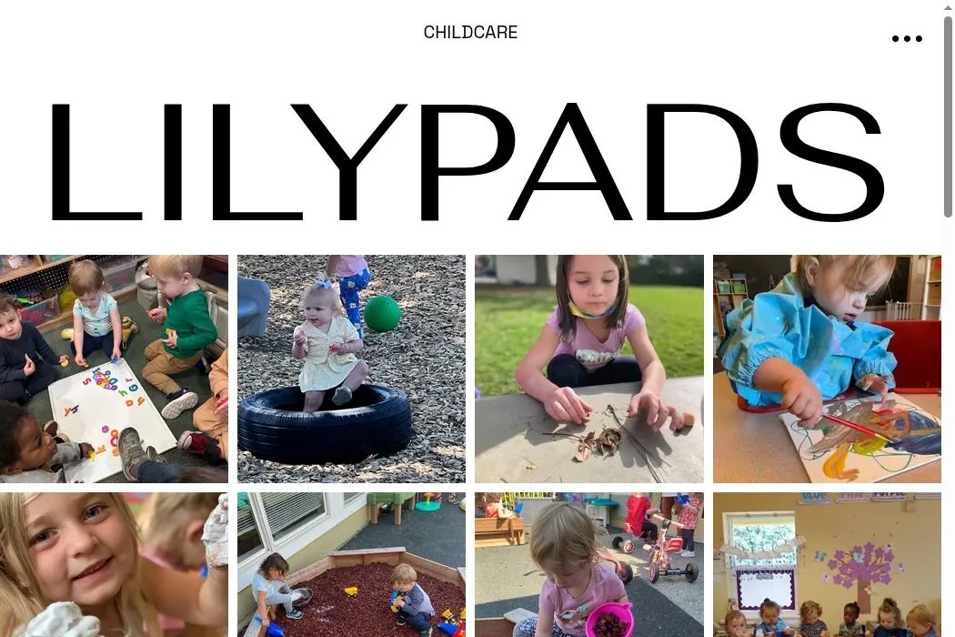 Lilypads cover