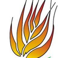 Brethren of Mountain Grove Church logo
