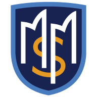 MSM Advisors, LLC logo