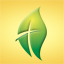 New Life Church logo