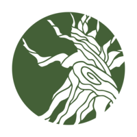 Root Down Community Hub logo