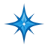 Blue Star Nails & Spa logo
