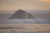 California Coastal Mental Health logo