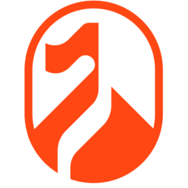 Pionails logo