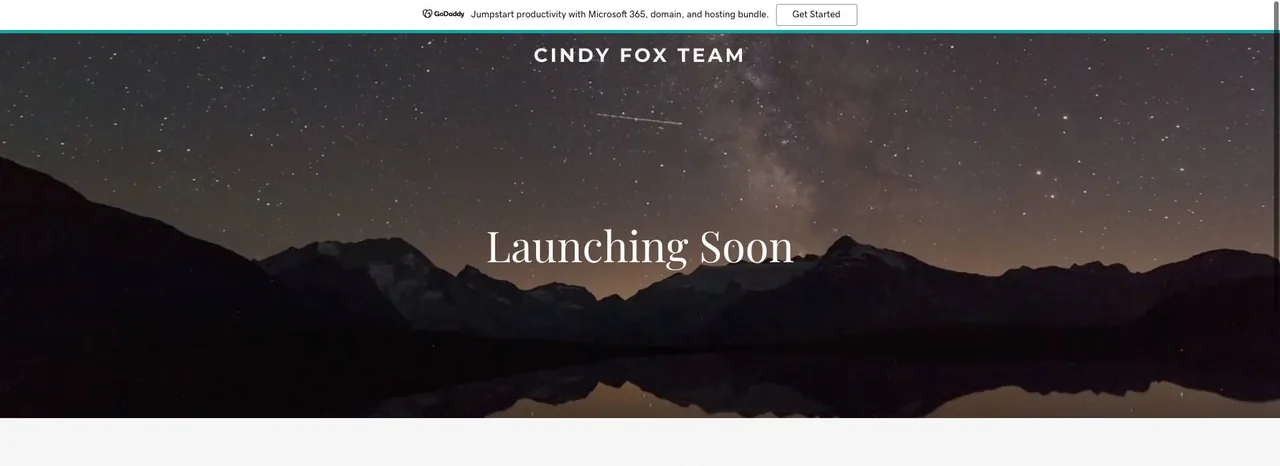 Cindy Fox Team cover