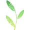 Modern Apotheca logo