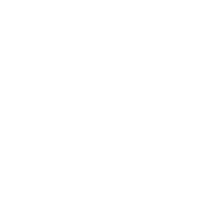 Vineyard Pools logo