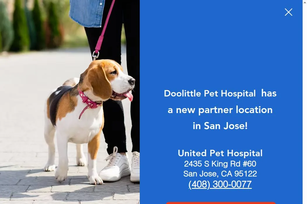 Doolittle Pet Hospital cover