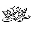 Mountain Mermaid Massage & Wellness logo