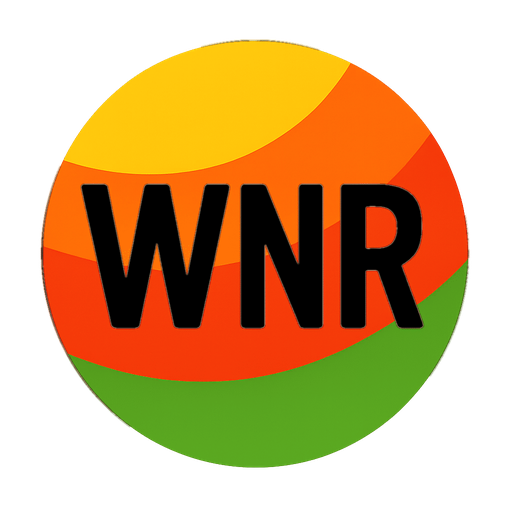 Wok N Roll logo