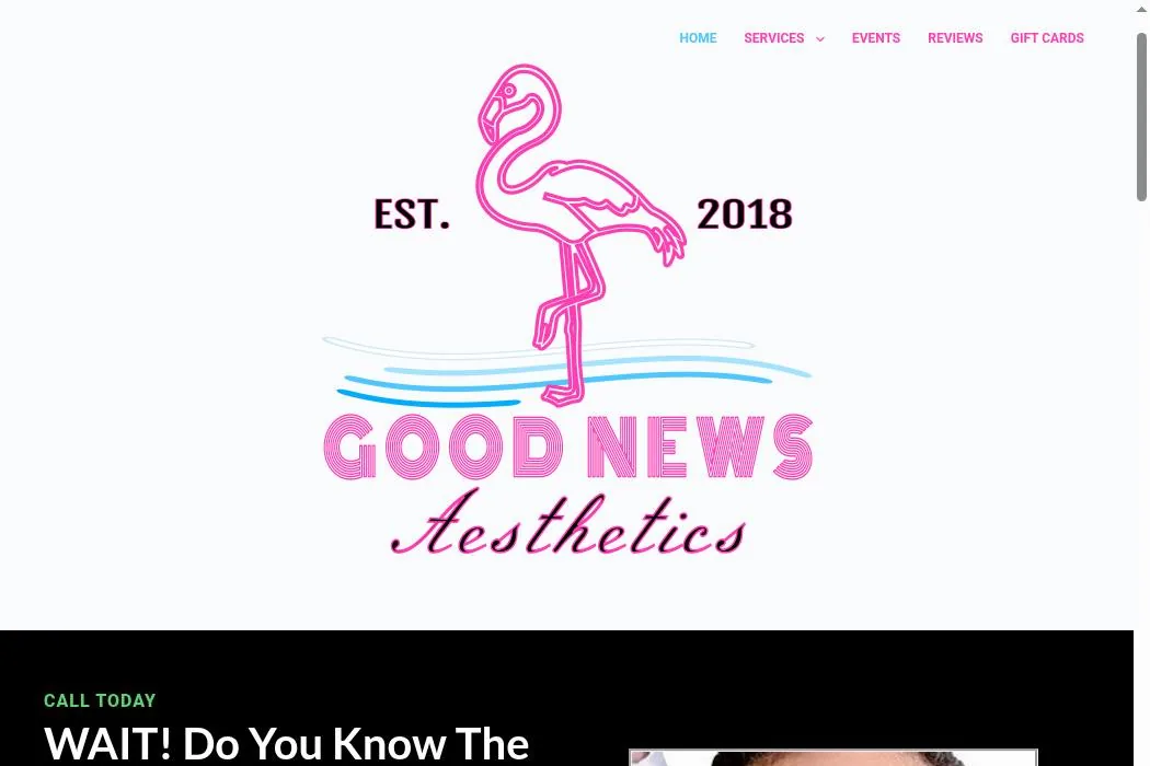 Good News Aesthetics cover