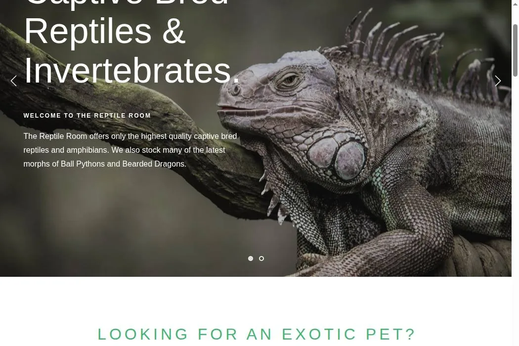 Reptile Room cover