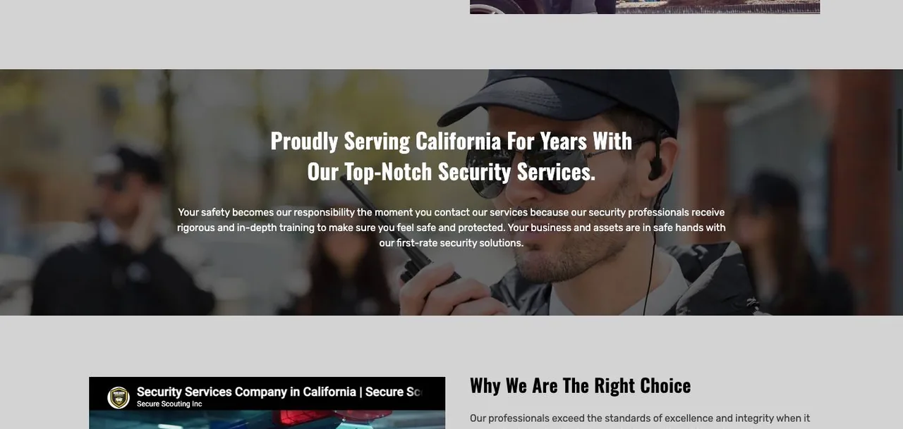 Secure Scouting Inc cover
