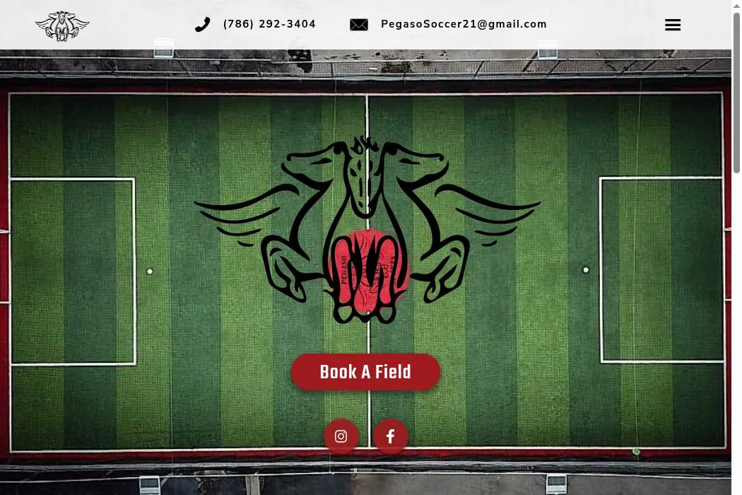 Pegaso Soccer cover