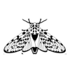 Ohio Native Concepts LLC logo