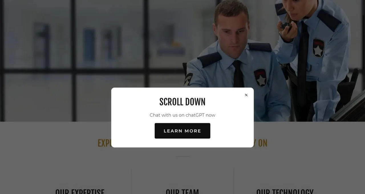 Bravo Security Services cover